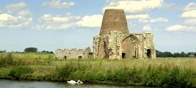 Castle ruins in a field